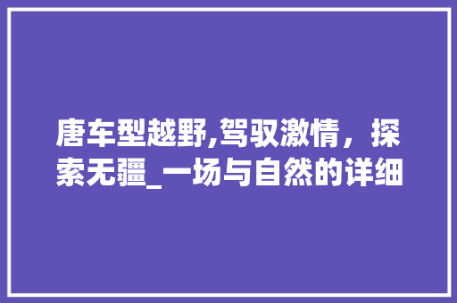 唐车型越野,驾驭激情，探索无疆_一场与自然的详细对话