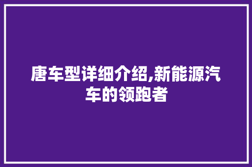 唐车型详细介绍,新能源汽车的领跑者