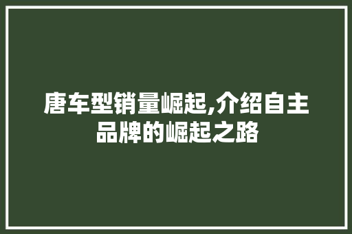 唐车型销量崛起,介绍自主品牌的崛起之路