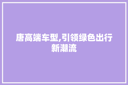 唐高端车型,引领绿色出行新潮流