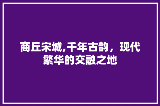 商丘宋城,千年古韵，现代繁华的交融之地