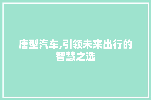 唐型汽车,引领未来出行的智慧之选