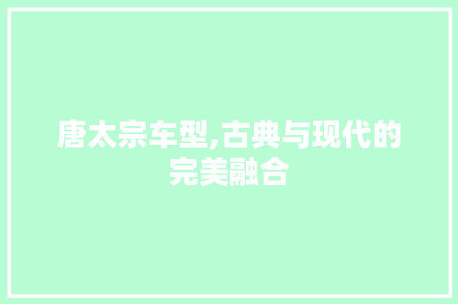 唐太宗车型,古典与现代的完美融合