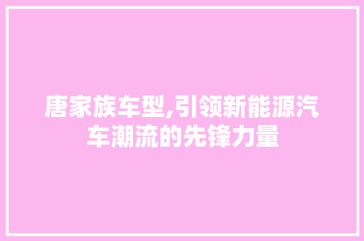 唐家族车型,引领新能源汽车潮流的先锋力量