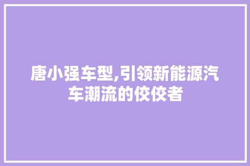 唐小强车型,引领新能源汽车潮流的佼佼者