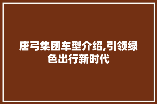 唐弓集团车型介绍,引领绿色出行新时代