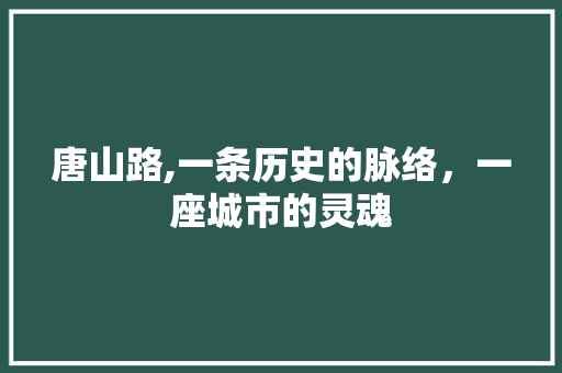 唐山路,一条历史的脉络，一座城市的灵魂