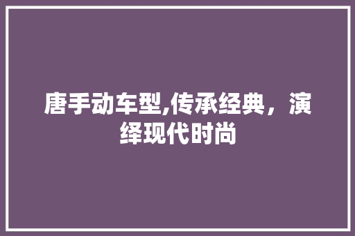 唐手动车型,传承经典，演绎现代时尚