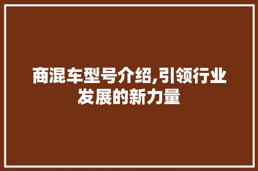 商混车型号介绍,引领行业发展的新力量