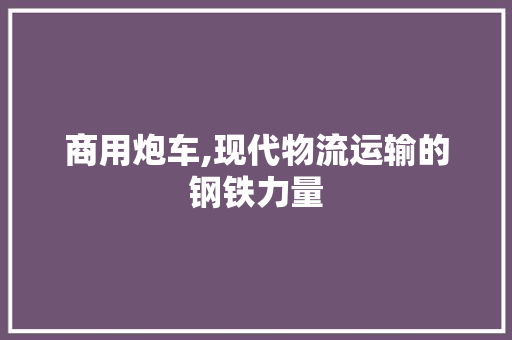 商用炮车,现代物流运输的钢铁力量