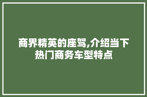 商界精英的座驾,介绍当下热门商务车型特点