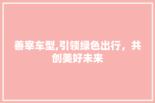 善宰车型,引领绿色出行，共创美好未来