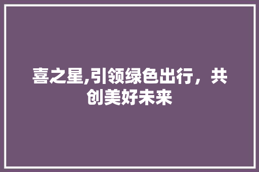 喜之星,引领绿色出行，共创美好未来