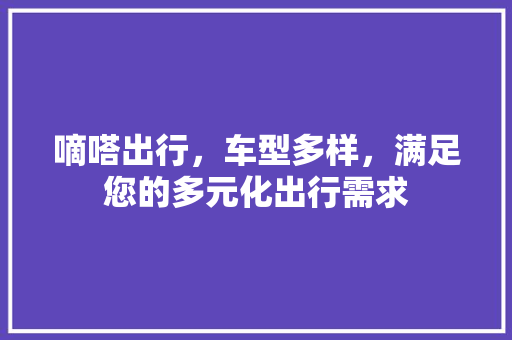 嘀嗒出行，车型多样，满足您的多元化出行需求