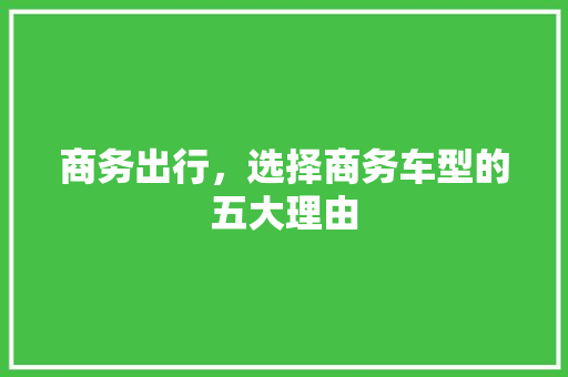 商务出行，选择商务车型的五大理由