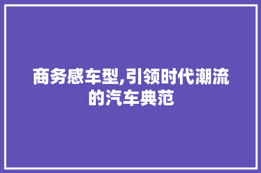 商务感车型,引领时代潮流的汽车典范