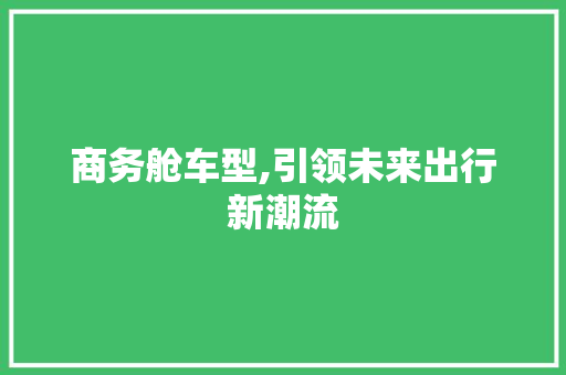 商务舱车型,引领未来出行新潮流