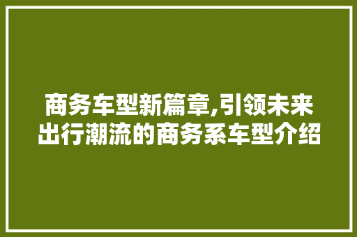 商务车型新篇章,引领未来出行潮流的商务系车型介绍