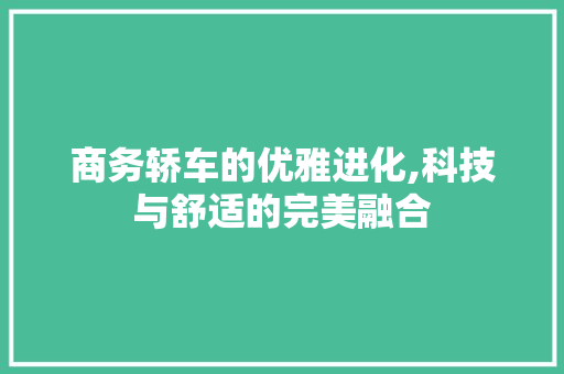商务轿车的优雅进化,科技与舒适的完美融合