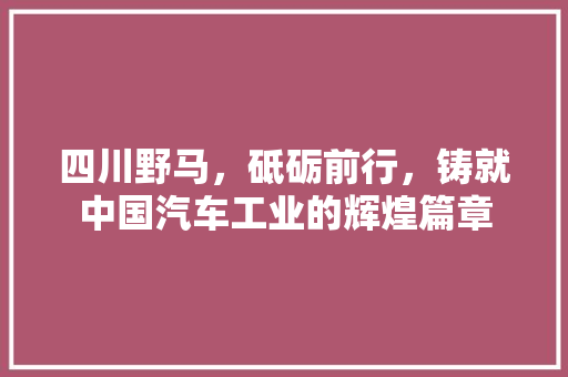 四川野马，砥砺前行，铸就中国汽车工业的辉煌篇章