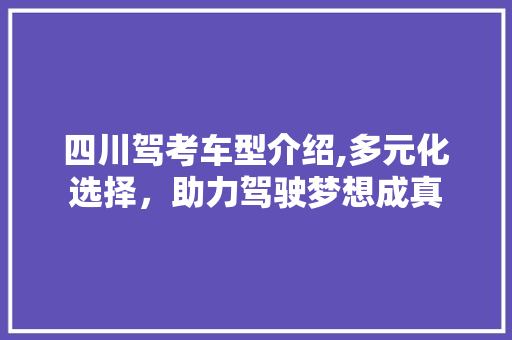 四川驾考车型介绍,多元化选择，助力驾驶梦想成真