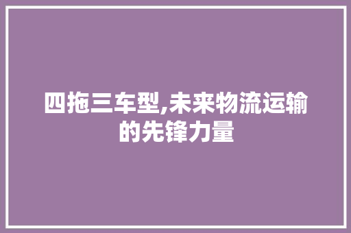 四拖三车型,未来物流运输的先锋力量
