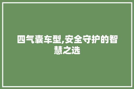 四气囊车型,安全守护的智慧之选