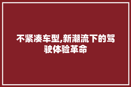 不紧凑车型,新潮流下的驾驶体验革命