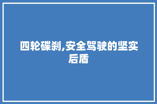 四轮碟刹,安全驾驶的坚实后盾