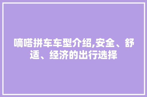 嘀嗒拼车车型介绍,安全、舒适、经济的出行选择