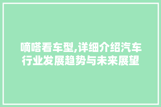 嘀嗒看车型,详细介绍汽车行业发展趋势与未来展望