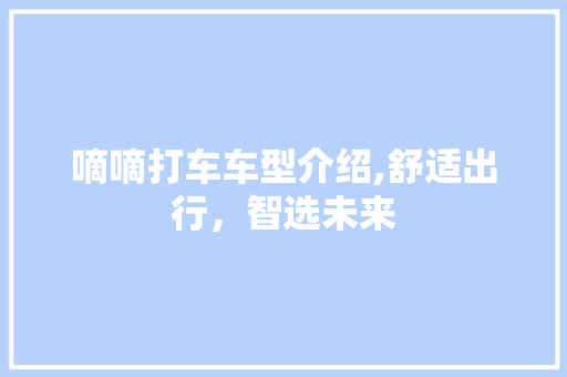 嘀嘀打车车型介绍,舒适出行，智选未来