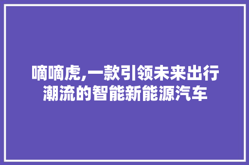 嘀嘀虎,一款引领未来出行潮流的智能新能源汽车