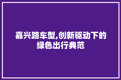 嘉兴路车型,创新驱动下的绿色出行典范
