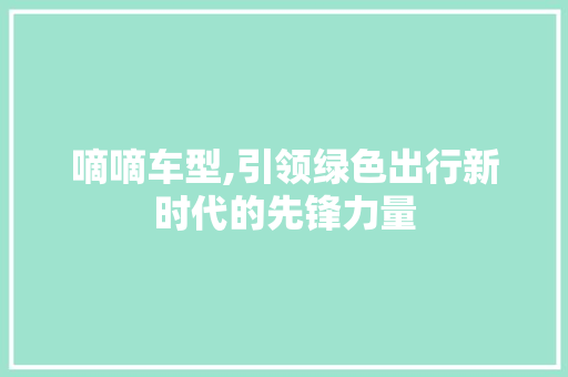 嘀嘀车型,引领绿色出行新时代的先锋力量