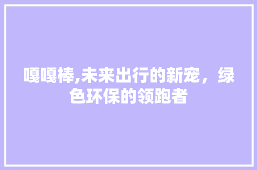 嘎嘎棒,未来出行的新宠，绿色环保的领跑者