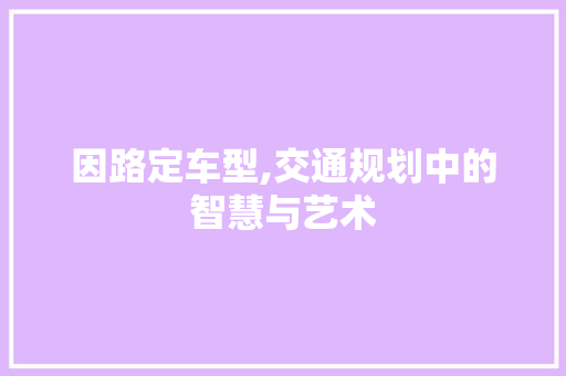 因路定车型,交通规划中的智慧与艺术