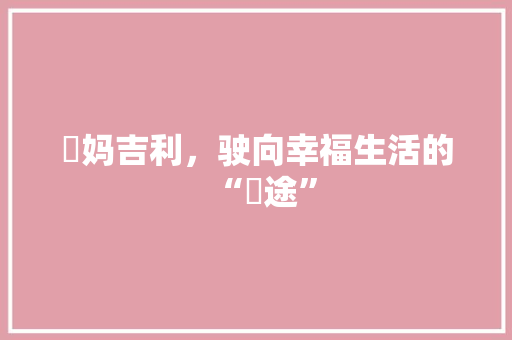 囧妈吉利，驶向幸福生活的“囧途”