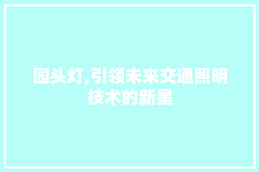 园头灯,引领未来交通照明技术的新星