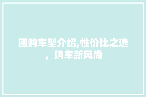 团购车型介绍,性价比之选，购车新风尚