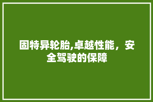 固特异轮胎,卓越性能，安全驾驶的保障