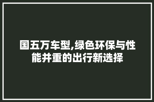 国五万车型,绿色环保与性能并重的出行新选择
