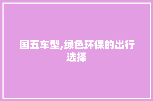 国五车型,绿色环保的出行选择