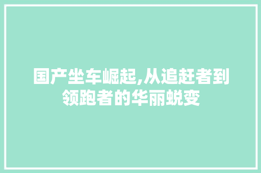 国产坐车崛起,从追赶者到领跑者的华丽蜕变