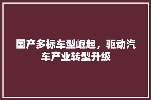 国产多标车型崛起，驱动汽车产业转型升级