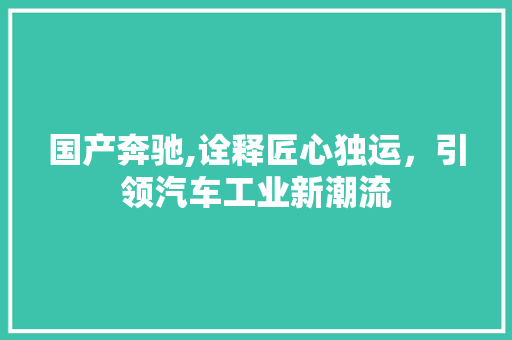 国产奔驰,诠释匠心独运，引领汽车工业新潮流