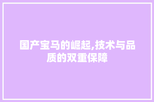 国产宝马的崛起,技术与品质的双重保障