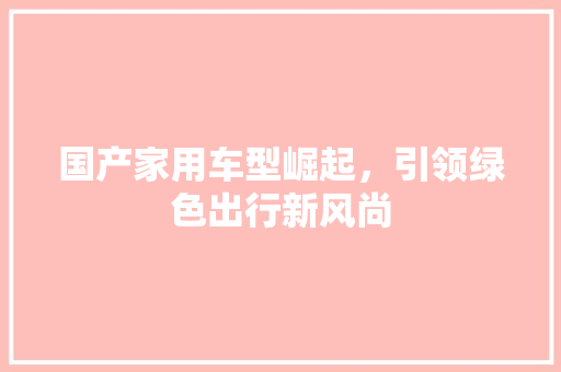 国产家用车型崛起，引领绿色出行新风尚 变速箱配件