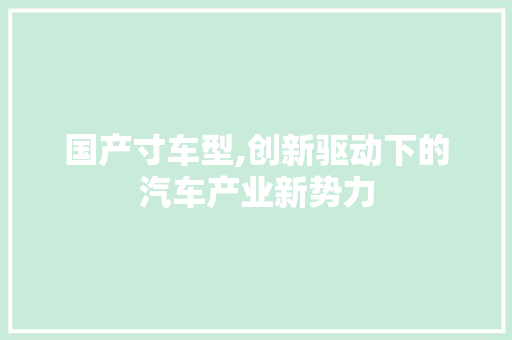 国产寸车型,创新驱动下的汽车产业新势力