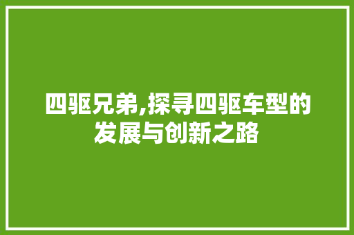 四驱兄弟,探寻四驱车型的发展与创新之路